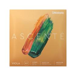 Set de cuerdas viola D'Addario Ascenté 13""-14""