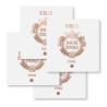Set de Cuerdas violín Jargar Evoke 4/4 Medium 4/4