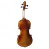 Viola F. Müller Soloist 15''
