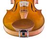 Barbada central para violín Flesh-Flat boj 4/4-3/4 4/4