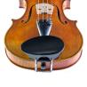 Barbada central para violín Flesh-Flat de madera dura ebonizada 1/16