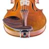 Barbada lateral sobre cordal para violín Guarneri palisandro 4/4-3/4 4/4