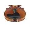 Barbada violín Berber central ébano 4/4-3/4 4/4
