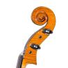 Cello Antonio Wang modelo Viena Stradivari 4/4