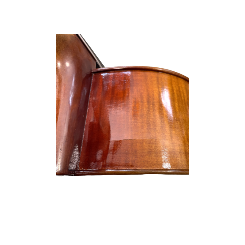 Cello F. Müller Soloist 4/4 (B-stock nº 292) 4/4 Cello F. Müller Soloist 4/4 (B-stock nº 292) 4/4