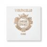 Cuerda cello Jargar Evoke 2ª Re 4/4 Medium 4/4