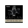 Cuerda violín D'Addario Kaplan Solutions KS311W 1ª Mi Bola Medium 4/4