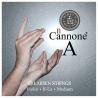 Cuerda violín Larsen Il Cannone Direct & Focused 2ª La 4/4 Medium 4/4