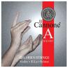 Cuerda violín Larsen Il Cannone Direct & Focused 2ª La 4/4 Soloist 4/4