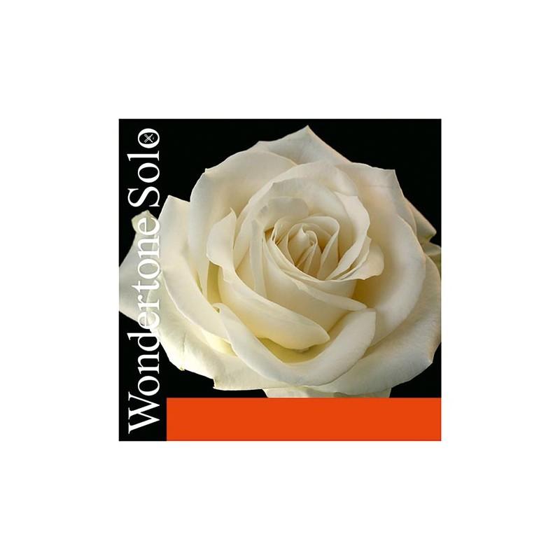 Cuerda violín Pirastro Wondertone Solo 410321 3ª Re plata Medium 4/4 Cuerda violín Pirastro Wondertone Solo 410321 3ª Re plata Medium 4/4