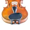 257131 Barbada central para viola Wittner Augsburg