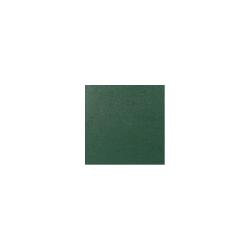 Estuche corneta BAM 3035SN Trekking Green Verde