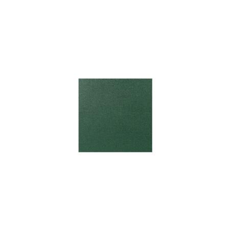 Estuche corneta BAM 3035SN Trekking Green Verde