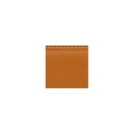 Estuche violín Bam Slim L'Étoile Hightech ET2000XL Cognac