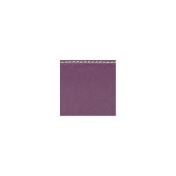 Estuche violín Bam Slim L'Étoile Hightech ET2000XL Purple Violeta