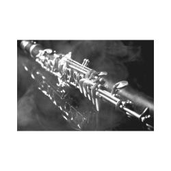 GC22 Postal de felicitación blanco y negro clarinete
