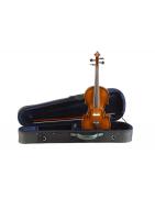 Viola