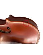 Violín