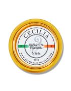 Cajas Externas Multimedia