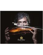 Herramientas,Conectores Redes